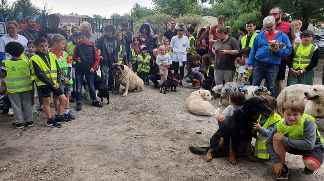 Prinquiau. Ils ont découvert le refuge Anim’Toit