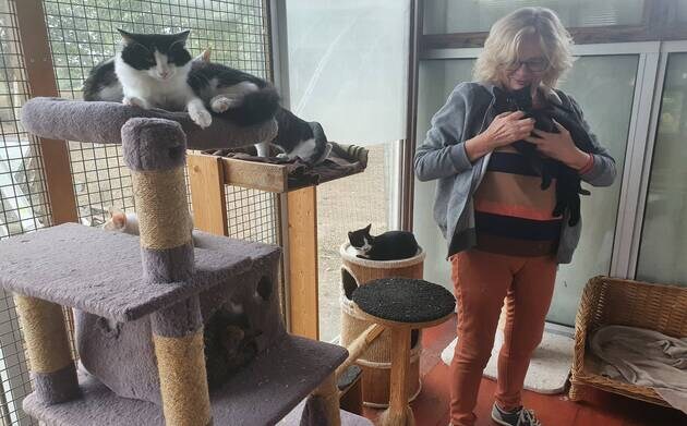 Prinquiau. Le refuge Anim’toit ouvre ses portes dimanche 2 octobre