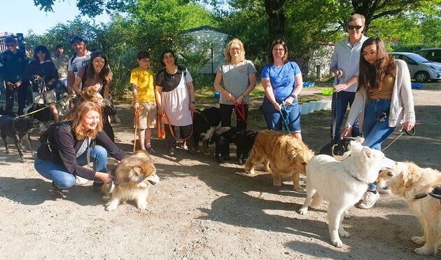 Prinquiau. Cani cross pour découvrir le refuge Anim’toit