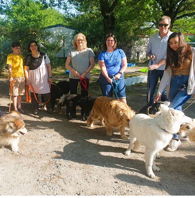 L’année précédente, le cani rando ou cani cross avait remporté un énorme succès. | PHOTO PRESSE OCÉAN.