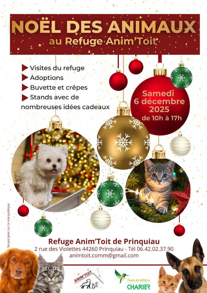 Noël des animaux au refuge