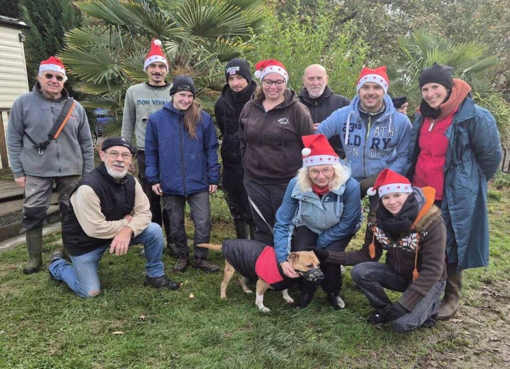 Prinquiau. Anim’toit prépare le Noël des animaux