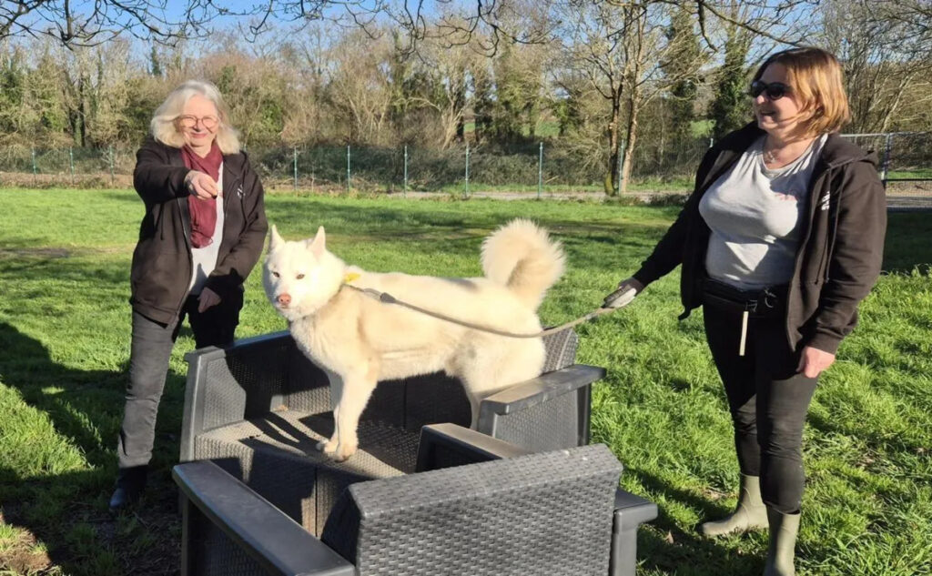 Prinquiau. L’association Anim’toit organise un repas dansant