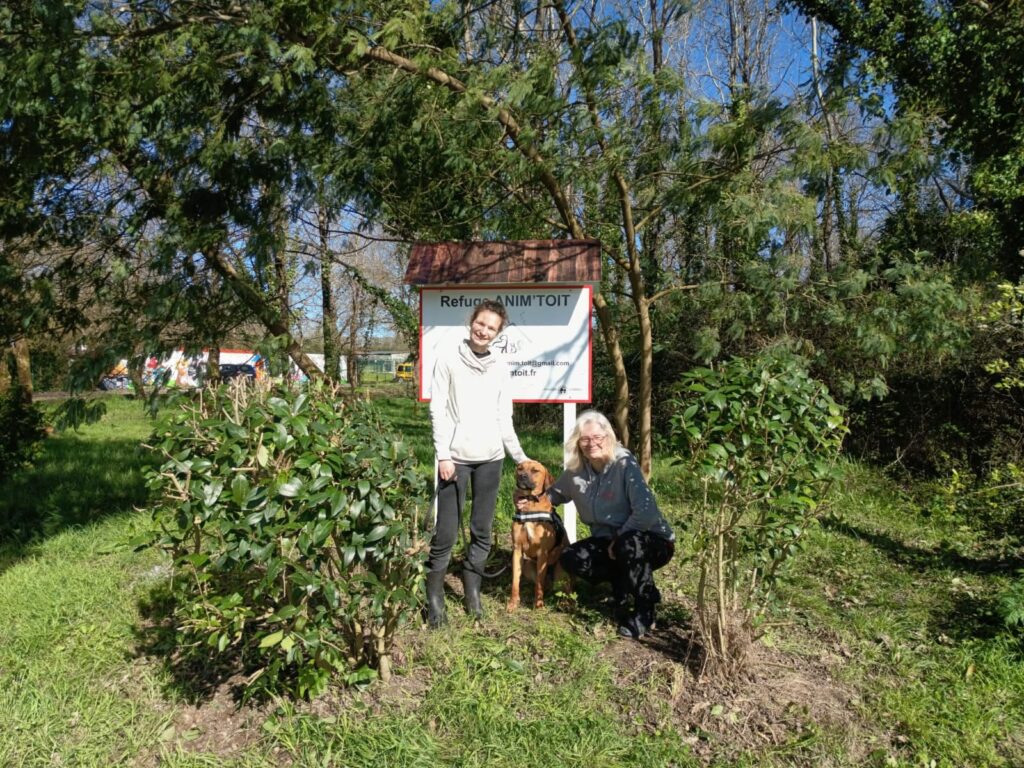 Lettre ouverte de la Présidente